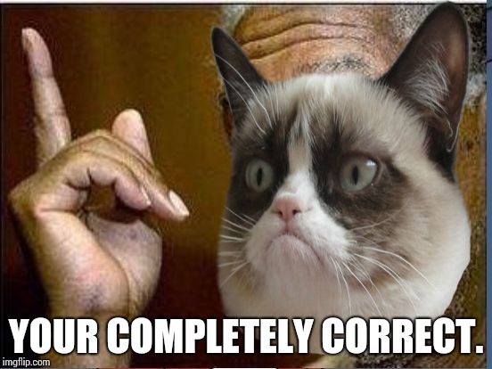Grumpy Cat He's Right You Know | YOUR COMPLETELY CORRECT. | image tagged in grumpy cat he's right you know | made w/ Imgflip meme maker