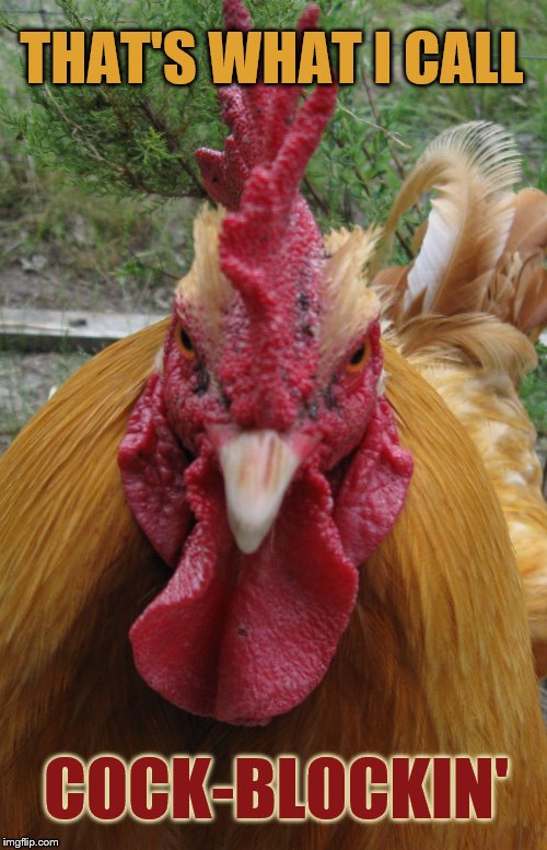 Rooster Be Mad | THAT'S WHAT I CALL COCK-BLOCKIN' | image tagged in rooster be mad | made w/ Imgflip meme maker