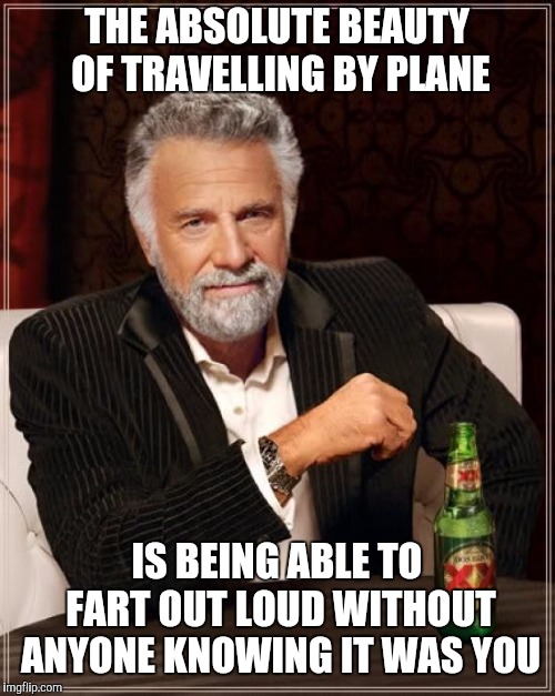 Admit It, We All Do It |  THE ABSOLUTE BEAUTY OF TRAVELLING BY PLANE; IS BEING ABLE TO FART OUT LOUD WITHOUT ANYONE KNOWING IT WAS YOU | image tagged in memes,the most interesting man in the world,fart | made w/ Imgflip meme maker