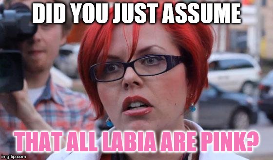 Angry Feminist | DID YOU JUST ASSUME THAT ALL LABIA ARE PINK? | image tagged in angry feminist | made w/ Imgflip meme maker