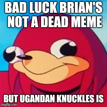 Ugandan Knuckles | BAD LUCK BRIAN'S NOT A DEAD MEME BUT UGANDAN KNUCKLES IS | image tagged in ugandan knuckles | made w/ Imgflip meme maker