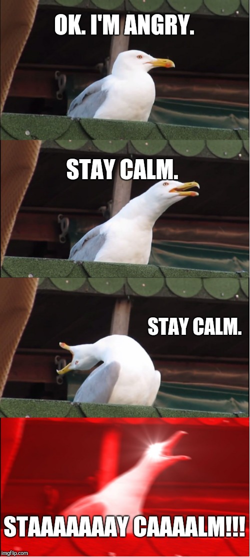 Inhaling Seagull Meme | OK. I'M ANGRY. STAY CALM. STAY CALM. STAAAAAAAY CAAAALM!!! | image tagged in memes,inhaling seagull | made w/ Imgflip meme maker