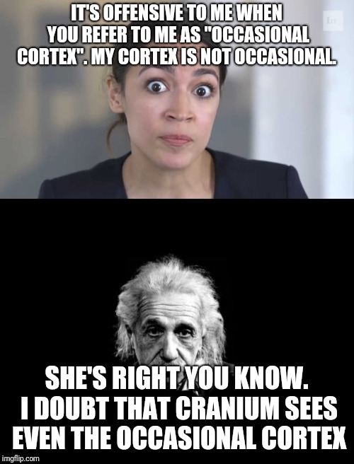 IT'S OFFENSIVE TO ME WHEN YOU REFER TO ME AS "OCCASIONAL CORTEX". MY CORTEX IS NOT OCCASIONAL. SHE'S RIGHT YOU KNOW. I DOUBT THAT CRANIUM SEES EVEN THE OCCASIONAL CORTEX | image tagged in memes,albert einstein 1,crazy alexandria ocasio-cortez | made w/ Imgflip meme maker