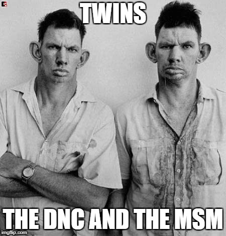 Inbred twins | TWINS; THE DNC AND THE MSM | image tagged in inbred twins | made w/ Imgflip meme maker