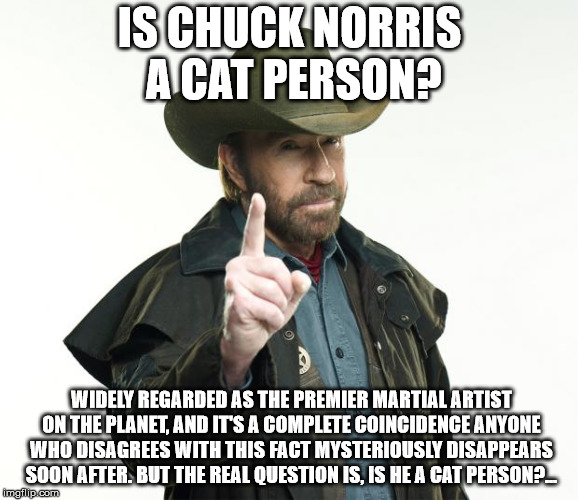 Chuck Norris Finger | IS CHUCK NORRIS A CAT PERSON? WIDELY REGARDED AS THE PREMIER MARTIAL ARTIST ON THE PLANET, AND IT'S A COMPLETE COINCIDENCE ANYONE WHO DISAGREES WITH THIS FACT MYSTERIOUSLY DISAPPEARS SOON AFTER. BUT THE REAL QUESTION IS, IS HE A CAT PERSON?... | image tagged in memes,chuck norris finger,chuck norris | made w/ Imgflip meme maker
