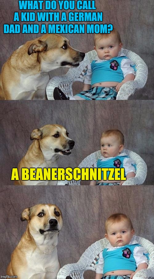 Dad Joke Dog Meme | WHAT DO YOU CALL A KID WITH A GERMAN DAD AND A MEXICAN MOM? A BEANERSCHNITZEL | image tagged in memes,dad joke dog,beanerschnitzel,bad pun,bad pun dog | made w/ Imgflip meme maker