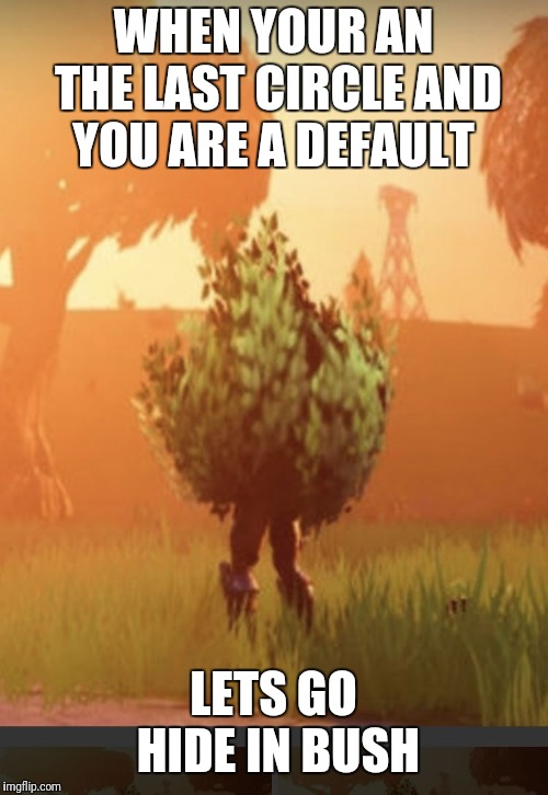 Fortnite bush | WHEN YOUR AN THE LAST CIRCLE AND YOU ARE A DEFAULT; LETS GO HIDE IN BUSH | image tagged in fortnite bush | made w/ Imgflip meme maker