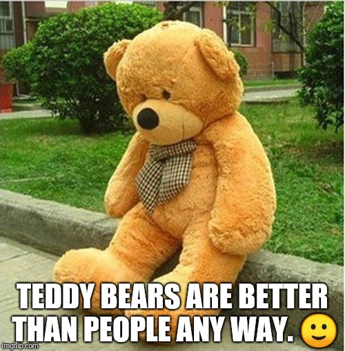 teddy bear | TEDDY BEARS ARE BETTER THAN PEOPLE ANY WAY.  | image tagged in teddy bear | made w/ Imgflip meme maker