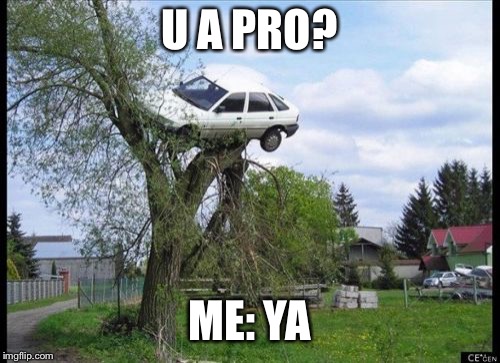 Secure Parking Meme | U A PRO? ME: YA | image tagged in memes,secure parking | made w/ Imgflip meme maker