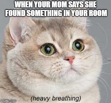 Heavy Breathing Cat | WHEN YOUR MOM SAYS SHE FOUND SOMETHING IN YOUR ROOM | image tagged in memes,heavy breathing cat | made w/ Imgflip meme maker