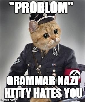 Grammar Nazi Cat | "PROBLOM" GRAMMAR NAZI KITTY HATES YOU | image tagged in grammar nazi cat | made w/ Imgflip meme maker