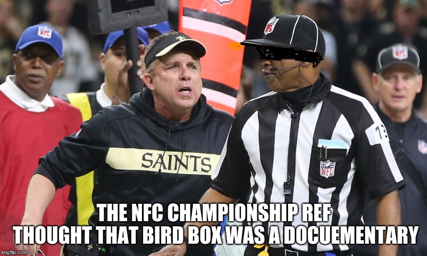 Real Life Bird Boxing | THE NFC CHAMPIONSHIP REF THOUGHT THAT BIRD BOX WAS A DOCUEMENTARY | image tagged in new orleans saints,nfl,nfl memes,nfl meme,nfl referee,football | made w/ Imgflip meme maker