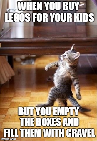 You'd better run before the kids open them! | WHEN YOU BUY LEGOS FOR YOUR KIDS; BUT YOU EMPTY THE BOXES AND FILL THEM WITH GRAVEL | image tagged in cat strutting,funny,memes,cats,clean,good | made w/ Imgflip meme maker