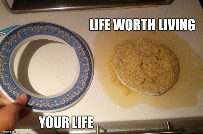 LIFE | LIFE WORTH LIVING; YOUR LIFE | image tagged in life,fail | made w/ Imgflip meme maker