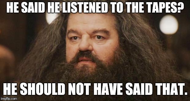 Hagrid | HE SAID HE LISTENED TO THE TAPES? HE SHOULD NOT HAVE SAID THAT. | image tagged in hagrid | made w/ Imgflip meme maker