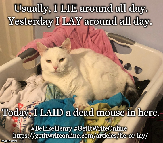 Henry the Grammar Cat | Usually, I LIE around all day. Yesterday I LAY around all day. Today, I LAID a dead mouse in here. #BeLikeHenry #GetItWriteOnline 
https://getitwriteonline.com/articles/lie-or-lay/ | image tagged in grammar,words,cats,edit | made w/ Imgflip meme maker