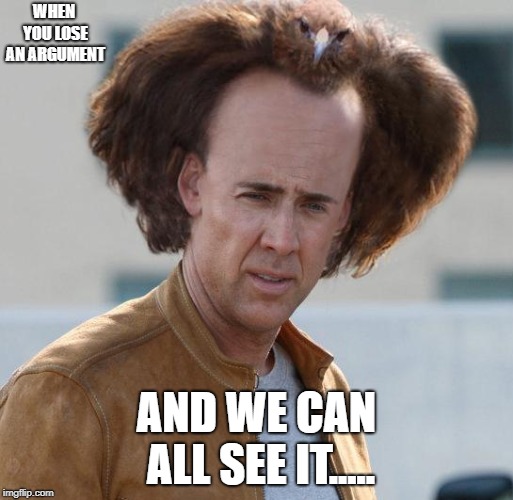 nicholas cage argument invalid | WHEN YOU LOSE AN ARGUMENT; AND WE CAN ALL SEE IT..... | image tagged in nicholas cage argument invalid | made w/ Imgflip meme maker
