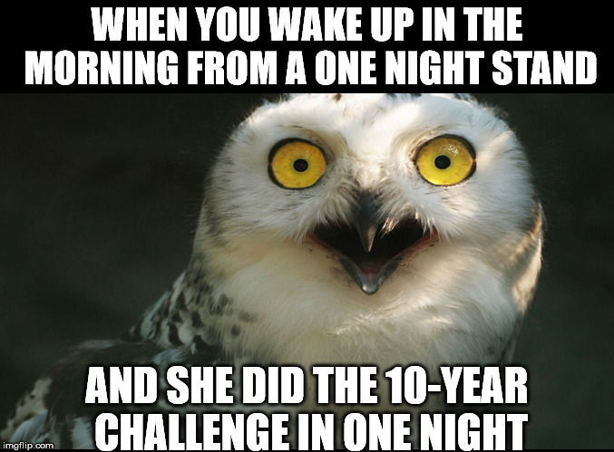  WHEN YOU WAKE UP IN THE MORNING FROM A ONE NIGHT STAND; AND SHE DID THE 10-YEAR CHALLENGE IN ONE NIGHT | image tagged in owl,ten year challenge | made w/ Imgflip meme maker