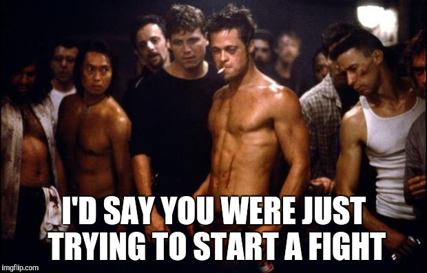 Fight Club Template  | I'D SAY YOU WERE JUST TRYING TO START A FIGHT | image tagged in fight club template | made w/ Imgflip meme maker