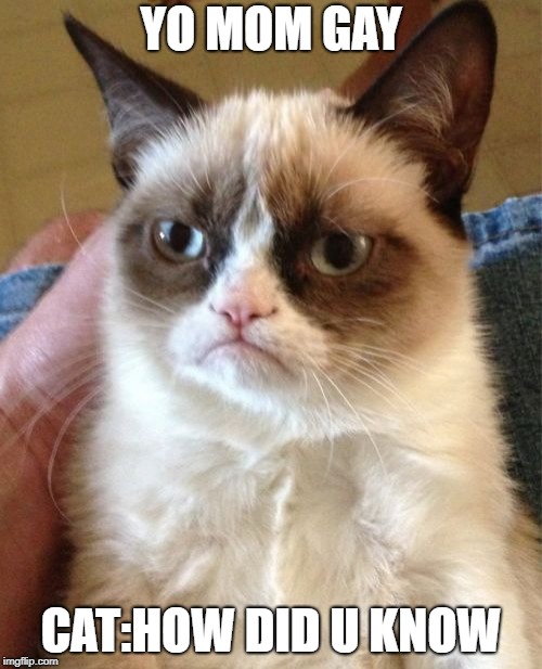 Grumpy Cat Meme | YO MOM GAY; CAT:HOW DID U KNOW | image tagged in memes,grumpy cat | made w/ Imgflip meme maker