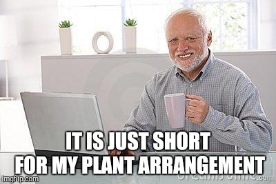 Hide the pain harold smile | IT IS JUST SHORT FOR MY PLANT ARRANGEMENT | image tagged in hide the pain harold smile | made w/ Imgflip meme maker