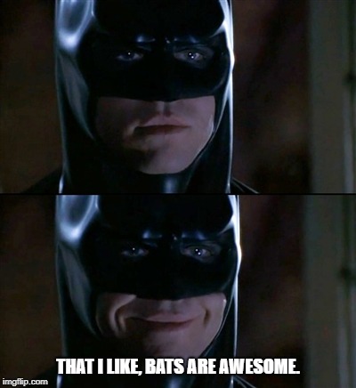 Batman Smiles Meme | THAT I LIKE, BATS ARE AWESOME. | image tagged in memes,batman smiles | made w/ Imgflip meme maker