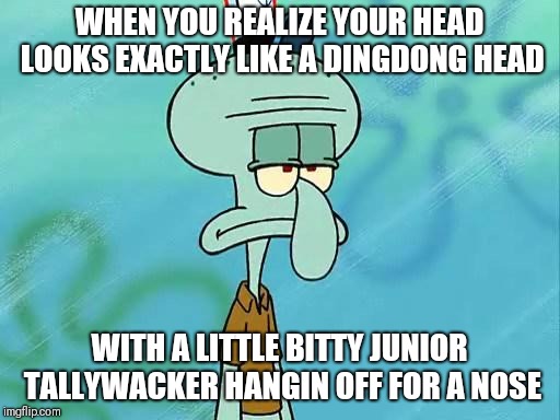 Squidward | WHEN YOU REALIZE YOUR HEAD LOOKS EXACTLY LIKE A DINGDONG HEAD; WITH A LITTLE BITTY JUNIOR TALLYWACKER HANGIN OFF FOR A NOSE | image tagged in squidward | made w/ Imgflip meme maker