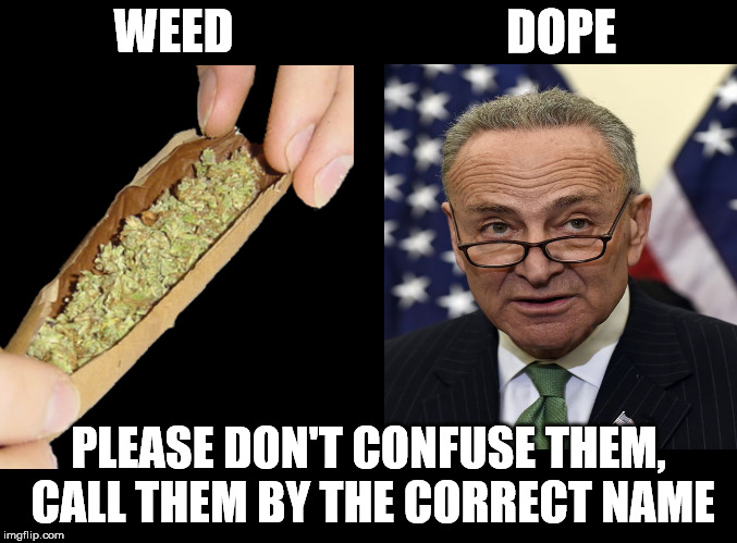 DOPE; WEED; PLEASE DON'T CONFUSE THEM, CALL THEM BY THE CORRECT NAME | image tagged in weed,chuck | made w/ Imgflip meme maker