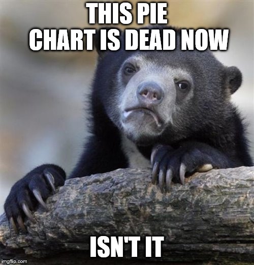 sad bear | THIS PIE CHART IS DEAD NOW ISN'T IT | image tagged in sad bear | made w/ Imgflip meme maker