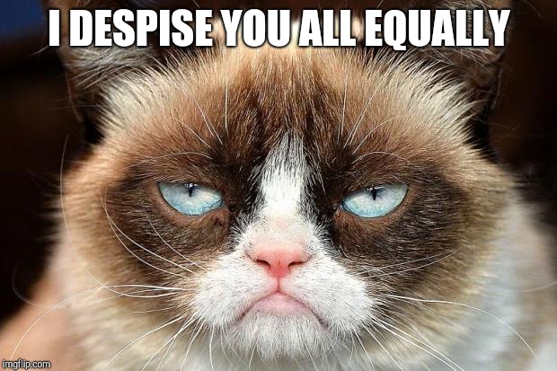 Grumpy Cat Not Amused Meme | I DESPISE YOU ALL EQUALLY | image tagged in memes,grumpy cat not amused,grumpy cat | made w/ Imgflip meme maker