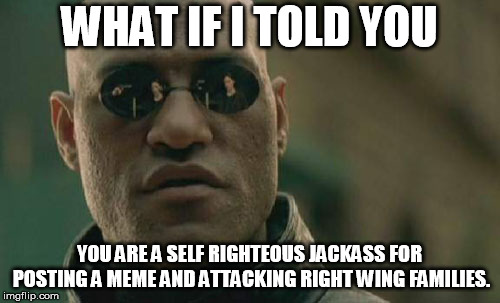 Matrix Morpheus Meme | WHAT IF I TOLD YOU YOU ARE A SELF RIGHTEOUS JACKASS FOR POSTING A MEME AND ATTACKING RIGHT WING FAMILIES. | image tagged in memes,matrix morpheus | made w/ Imgflip meme maker