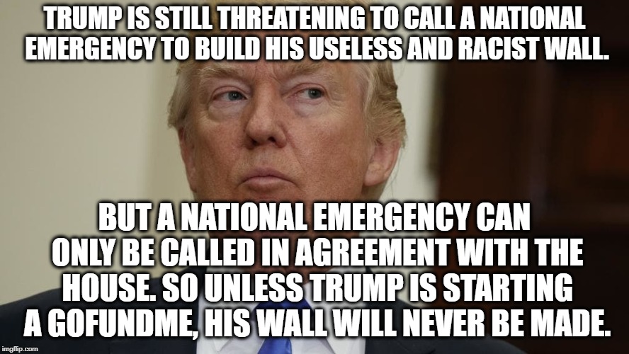 No, he really does NOT know what he's talking about. | TRUMP IS STILL THREATENING TO CALL A NATIONAL EMERGENCY TO BUILD HIS USELESS AND RACIST WALL. BUT A NATIONAL EMERGENCY CAN ONLY BE CALLED IN AGREEMENT WITH THE HOUSE. SO UNLESS TRUMP IS STARTING A GOFUNDME, HIS WALL WILL NEVER BE MADE. | image tagged in donald trump,border,wall,emergency,gofundme,traitor | made w/ Imgflip meme maker