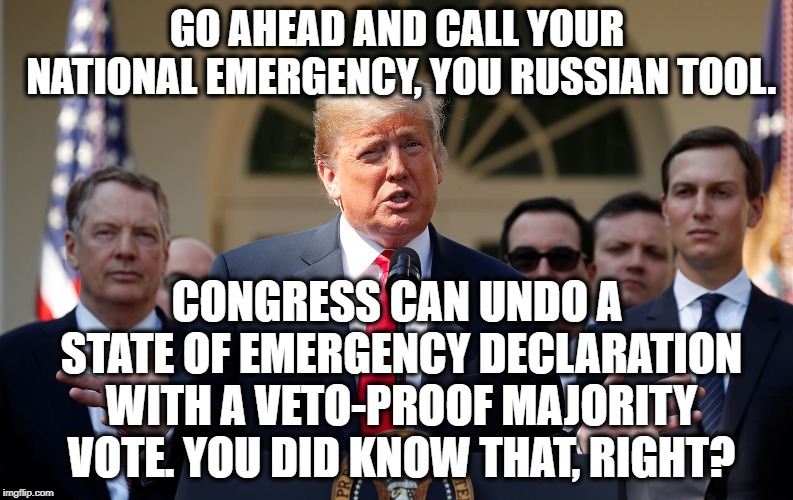 Again, he is full empty threats and nothing else. | GO AHEAD AND CALL YOUR NATIONAL EMERGENCY, YOU RUSSIAN TOOL. CONGRESS CAN UNDO A STATE OF EMERGENCY DECLARATION WITH A VETO-PROOF MAJORITY VOTE. YOU DID KNOW THAT, RIGHT? | image tagged in donald trump,emergency,russia,congress,wall,government shutdown | made w/ Imgflip meme maker