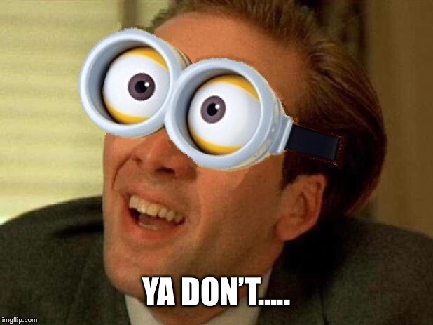 Enough said | YA DON’T..... | image tagged in crazy nick cage,nick cage | made w/ Imgflip meme maker