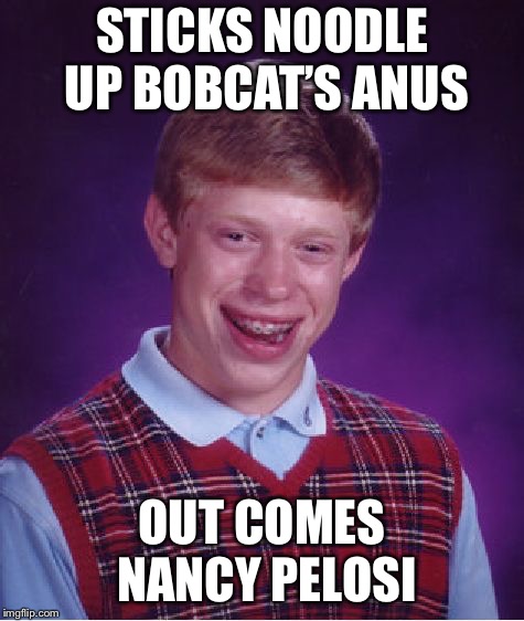 Bad Luck Brian Meme | STICKS NOODLE UP BOBCAT’S ANUS OUT COMES NANCY PELOSI | image tagged in memes,bad luck brian | made w/ Imgflip meme maker
