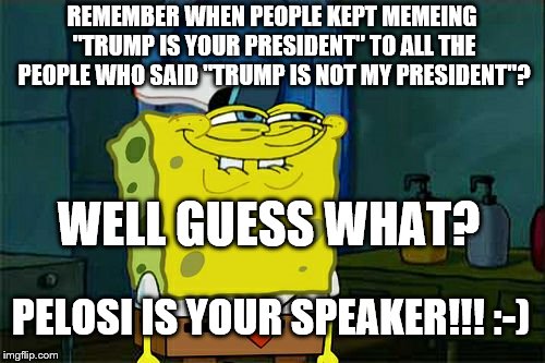 Don't You Squidward Meme | REMEMBER WHEN PEOPLE KEPT MEMEING "TRUMP IS YOUR PRESIDENT" TO ALL THE PEOPLE WHO SAID "TRUMP IS NOT MY PRESIDENT"? WELL GUESS WHAT? PELOSI  | image tagged in memes,dont you squidward | made w/ Imgflip meme maker