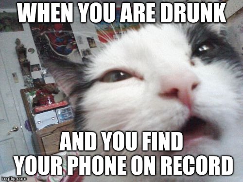 WHEN YOU ARE DRUNK; AND YOU FIND YOUR PHONE ON RECORD | image tagged in drunk cats | made w/ Imgflip meme maker