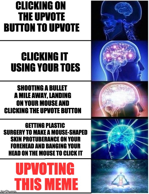 Expanding Brain 5 Panel | CLICKING ON THE UPVOTE BUTTON TO UPVOTE; CLICKING IT USING YOUR TOES; SHOOTING A BULLET A MILE AWAY, LANDING ON YOUR MOUSE AND CLICKING THE UPVOTE BUTTON; GETTING PLASTIC SURGERY TO MAKE A MOUSE-SHAPED SKIN PROTUBERANCE ON YOUR FOREHEAD AND BANGING YOUR HEAD ON THE MOUSE TO CLICK IT; UPVOTING THIS MEME | image tagged in expanding brain 5 panel,upvotes,fishing for upvotes,memes,funny | made w/ Imgflip meme maker