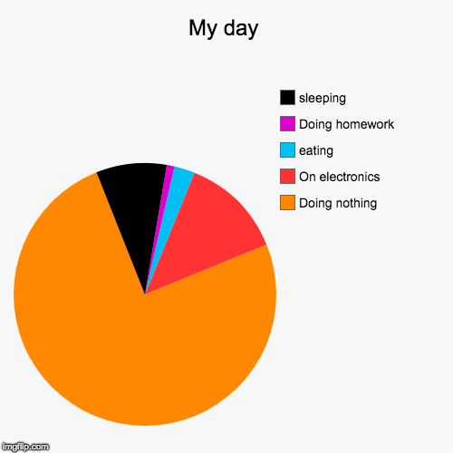 My day | Doing nothing, On electronics, eating, Doing homework, sleeping | image tagged in funny,pie charts | made w/ Imgflip chart maker
