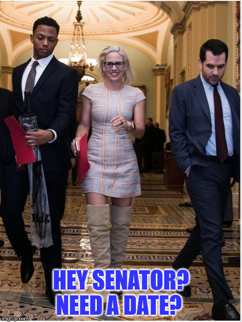 New breed.  | HEY SENATOR? NEED A DATE? | image tagged in date,scumbag government | made w/ Imgflip meme maker