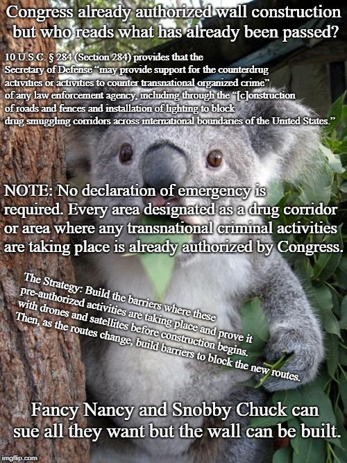 Surprised Koala Meme | Congress already authorized wall construction but who reads what has already been passed? 10 U.S.C. § 284 (Section 284) provides that the Secretary of Defense “may provide support for the counterdrug activities or activities to counter transnational organized crime” of any law enforcement agency, including through the “[c]onstruction of roads and fences and installation of lighting to block drug smuggling corridors across international boundaries of the United States.”; NOTE: No declaration of emergency is required. Every area designated as a drug corridor or area where any transnational criminal activities are taking place is already authorized by Congress. The Strategy: Build the barriers where these pre-authorized activities are taking place and prove it with drones and satellites before construction begins. Then, as the routes change, build barriers to block the new routes. Fancy Nancy and Snobby Chuck can sue all they want but the wall can be built. | image tagged in memes,surprised koala | made w/ Imgflip meme maker