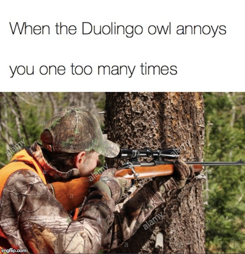 I've been learning Italian for 3 weeks now! | image tagged in hunter,memes,funny,duolingo,owl,dark humor | made w/ Imgflip meme maker