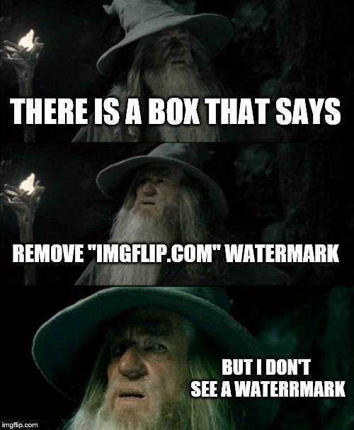 Confused Gandalf | THERE IS A BOX THAT SAYS; REMOVE "IMGFLIP.COM" WATERMARK; BUT I DON'T SEE A WATERRMARK | image tagged in memes,confused gandalf | made w/ Imgflip meme maker
