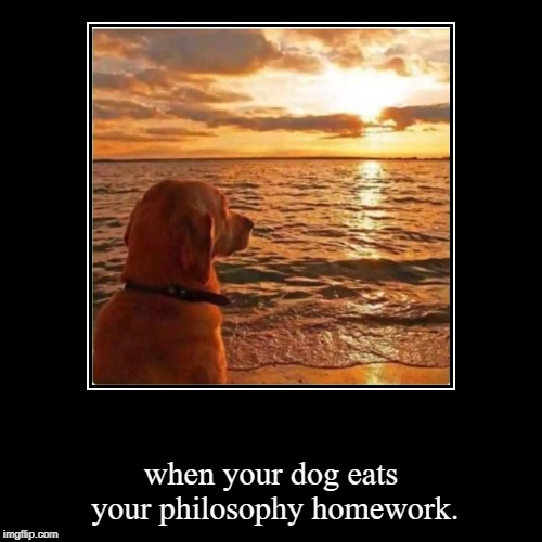 image tagged in funny,demotivationals,dog | made w/ Imgflip demotivational maker