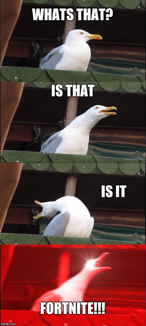 Inhaling Seagull | WHATS THAT? IS THAT; IS IT; FORTNITE!!! | image tagged in memes,inhaling seagull | made w/ Imgflip meme maker