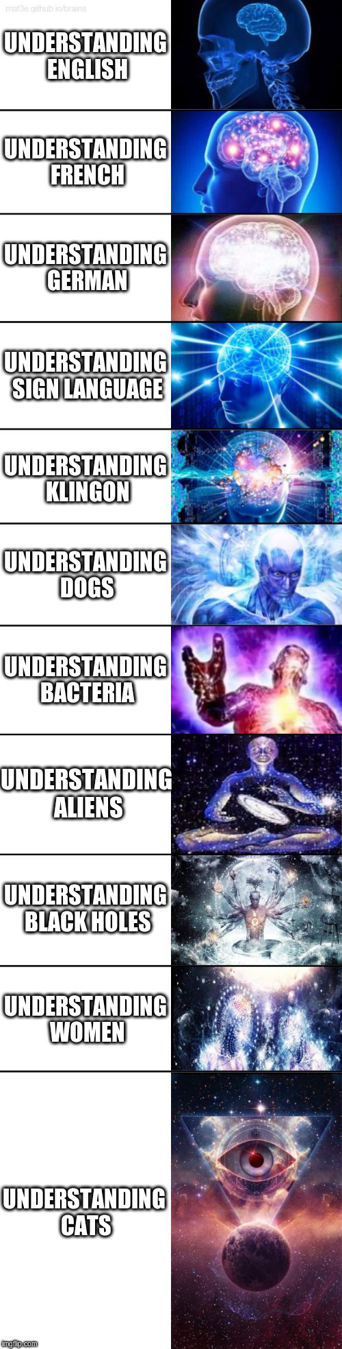 Extended Expanding Brain | UNDERSTANDING ENGLISH; UNDERSTANDING FRENCH; UNDERSTANDING GERMAN; UNDERSTANDING SIGN LANGUAGE; UNDERSTANDING KLINGON; UNDERSTANDING DOGS; UNDERSTANDING BACTERIA; UNDERSTANDING ALIENS; UNDERSTANDING BLACK HOLES; UNDERSTANDING WOMEN; UNDERSTANDING CATS | image tagged in extended expanding brain | made w/ Imgflip meme maker