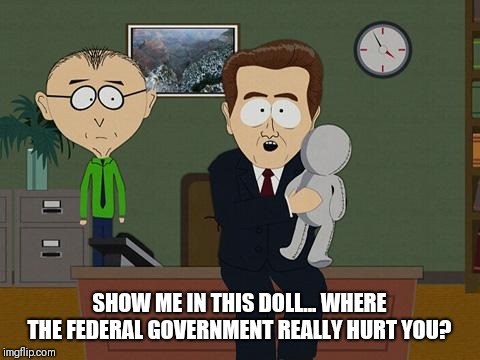 Show me on this doll | SHOW ME IN THIS DOLL... WHERE THE FEDERAL GOVERNMENT REALLY HURT YOU? | image tagged in show me on this doll | made w/ Imgflip meme maker