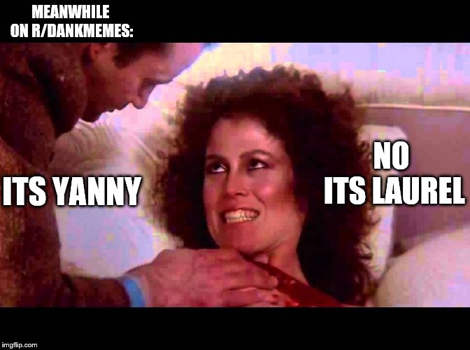 Yanny or Laurel | MEANWHILE ON R/DANKMEMES:; ITS YANNY; NO ITS LAUREL | image tagged in yanny or laurel | made w/ Imgflip meme maker