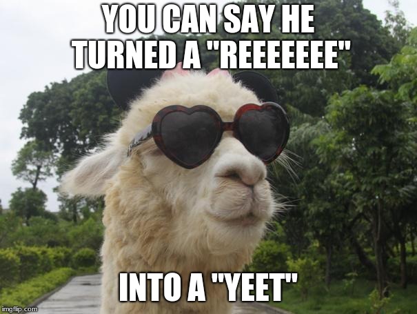 cool llama | YOU CAN SAY HE TURNED A "REEEEEEE" INTO A "YEET" | image tagged in cool llama | made w/ Imgflip meme maker