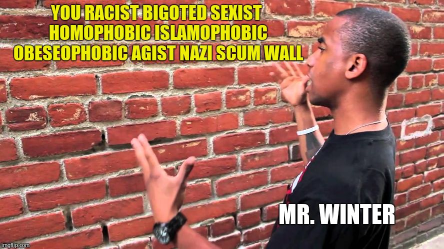 Talking to wall | YOU RACIST BIGOTED SEXIST HOMOPHOBIC ISLAMOPHOBIC OBESEOPHOBIC AGIST NAZI SCUM WALL MR. WINTER | image tagged in talking to wall | made w/ Imgflip meme maker